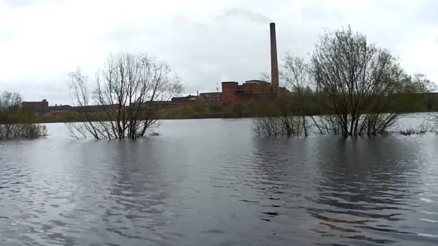 Наводнение - паводок 25.05.2020 д.Бердинка (г.Сокол, Вологодская область) река Сухона. смотреть онлайн