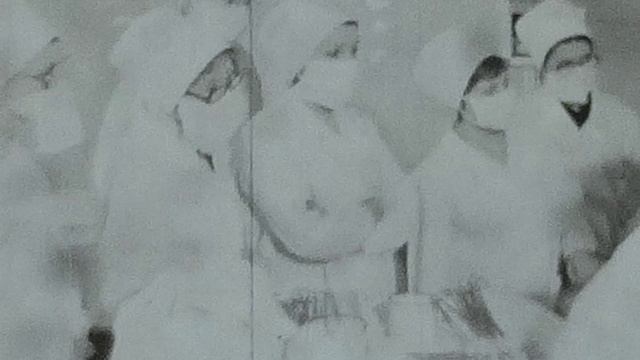 0030.MP4 смотреть онлайн