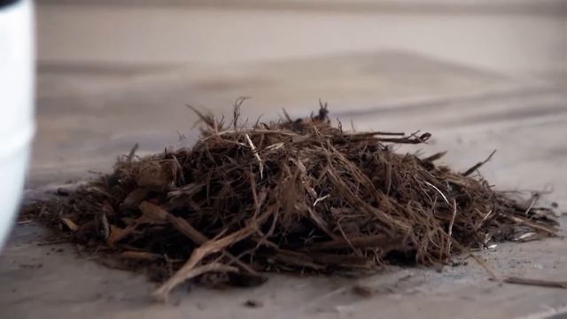 Ideas for Repurposing Objects at Home | Garden Style (1705) смотреть онлайн