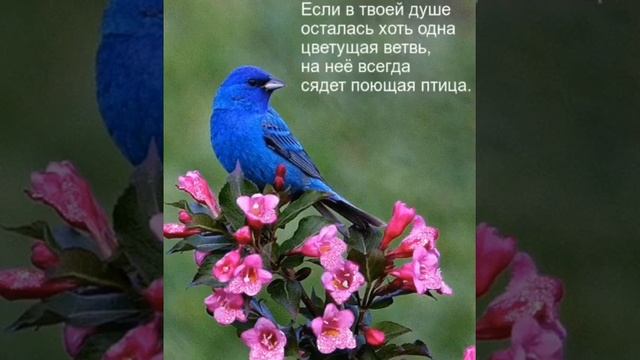 Утром рано смотреть онлайн