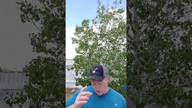 COVID Ops смотреть онлайн
