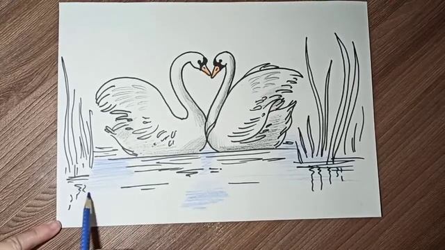 Как нарисовать лебедей. Пошаговый видео урок рисования для начинающих. смотреть онлайн