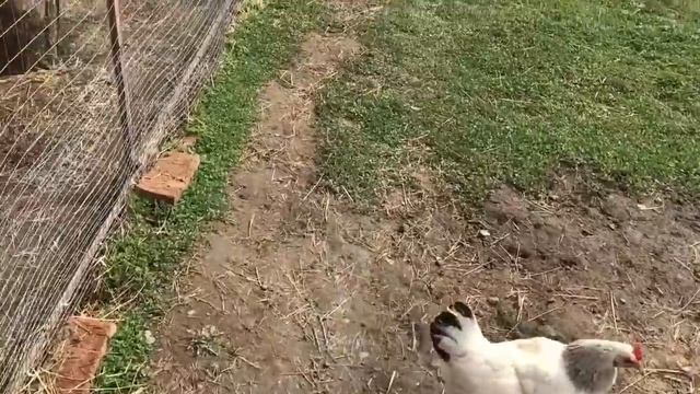 Закон убывающего земледелия смотреть онлайн