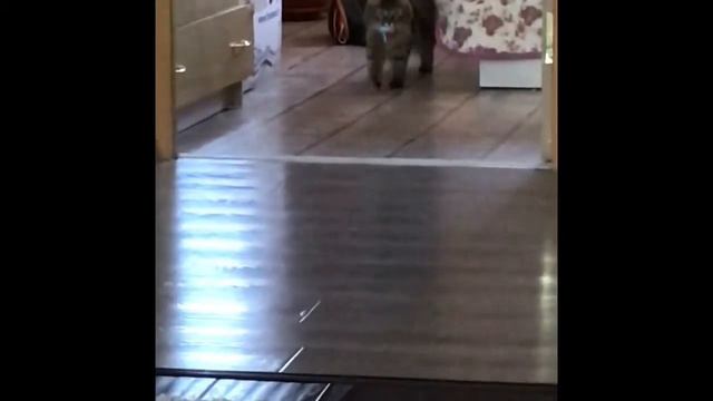 ПРИКОЛЬНЫЕ ФОТО. ЧАСТЬ 2 смотреть онлайн