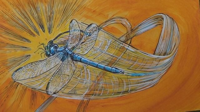 DRAGONFLY DRAWING & SUCCEEDING AT ART смотреть онлайн