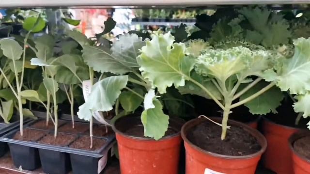 ОБИ. Май, обзор смотреть онлайн