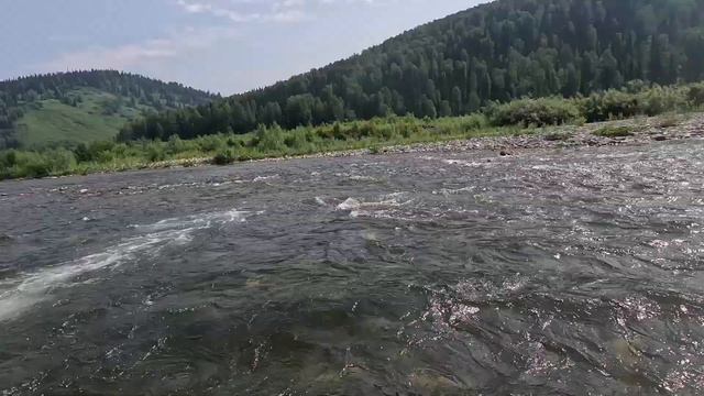 Водометный РИБ Тримаран 4500 смотреть онлайн