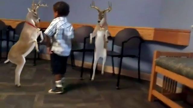 Dustin Dancing Reindeers смотреть онлайн