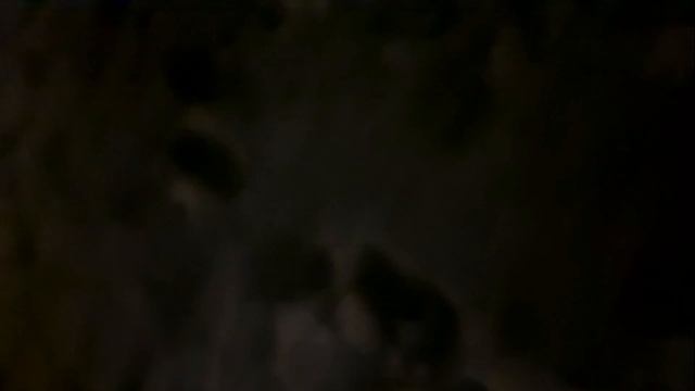 С НАСТУПАЮЩИМ НОВЫМ ГОДОМ! #21 смотреть онлайн