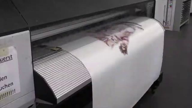 Print'nGo ASLAN DFP 43/44 | Deutsch смотреть онлайн