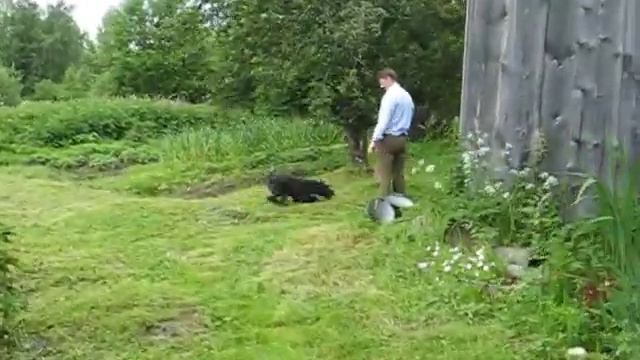 Crazy Leroy смотреть онлайн