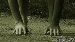 Высоцкий   Французские бесы