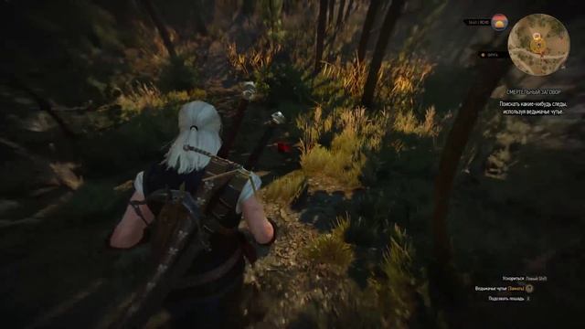Ведьмак 3: Дикая Охота (The Witcher 3: Wild Hunt) - Смертельный Заговор #56 смотреть онлайн