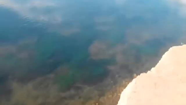 Мы снова друзья сусликов / Прогулка на остров Татышева 25 июля 2017 год. смотреть онлайн