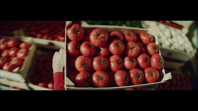 Магнит Свежесть смотреть онлайн