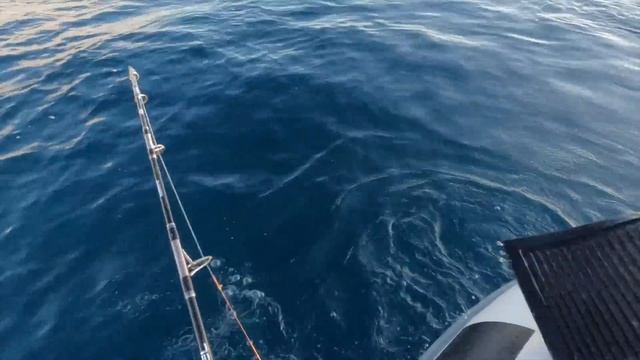 WALLPAPER DESTINATION - sailing, diving, fishing Lady Musgrave island - Episode 22 смотреть онлайн
