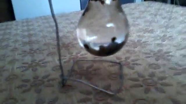 Аквариум из лампочки продалжения смотреть онлайн