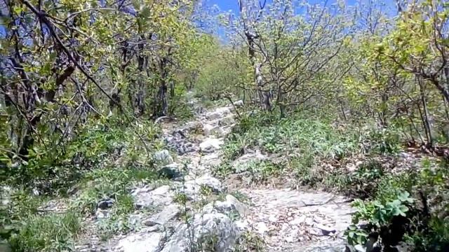 Ворота Любви//Подъём на гору Машук//Телебашня на вершине Машука// город пятигорск КМВ. смотреть онлайн