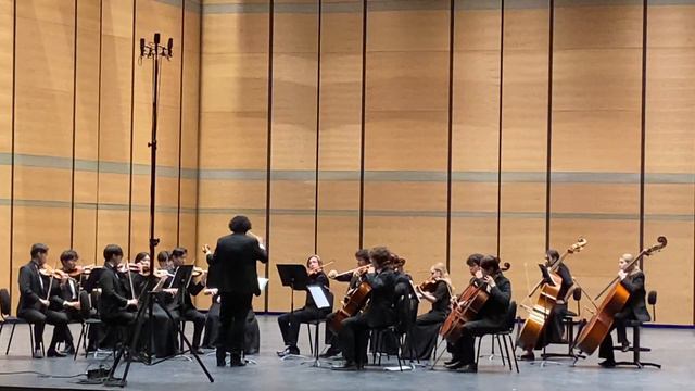Lubbock High School Chamber Orchestra - Anton Webern: Langsamer Satz смотреть онлайн