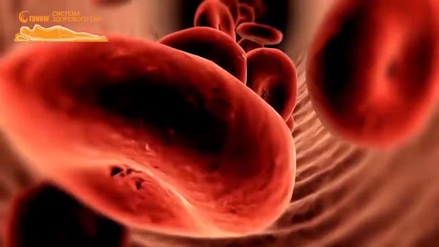 3D матрас Fohow. серии ИНТЕЛЛЕКТУАЛЬНАЯ СИСТЕМА ЗДОРОВОГО СНА смотреть онлайн