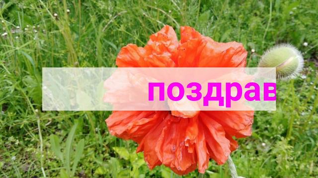 С ПЕРВЫМ ДНЁМ ЛЕТА!!!
