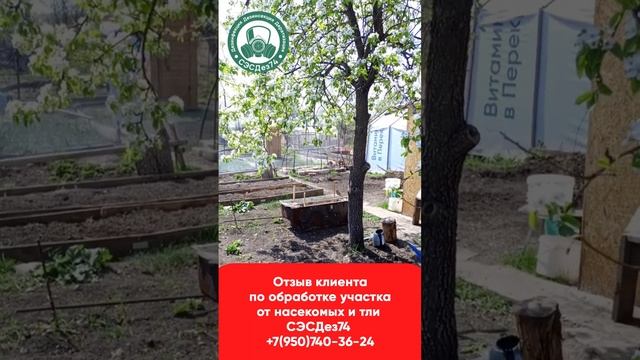 отзыв клиента сэсдез74 по обрабтке участка от клещей +7(950)740-36-24 смотреть онлайн