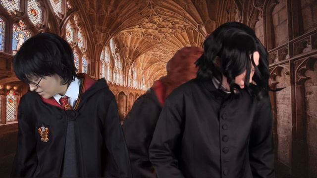 Harry Potter – Git up challenge || Severus Snape, Harry Potter and Lily Evans git up meme CMV смотреть онлайн