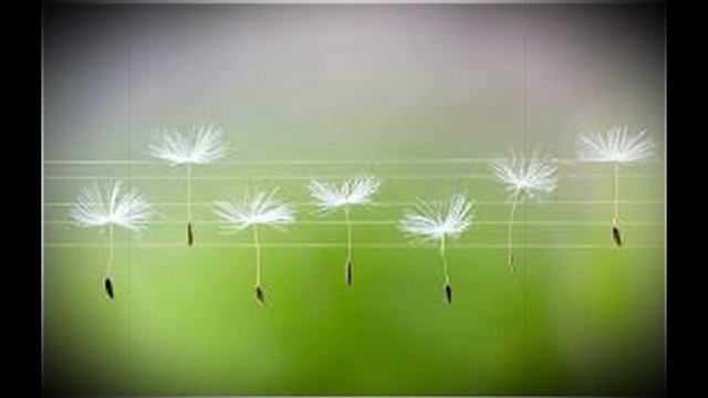 Урок музыки 4 класс. Вселенная звука смотреть онлайн