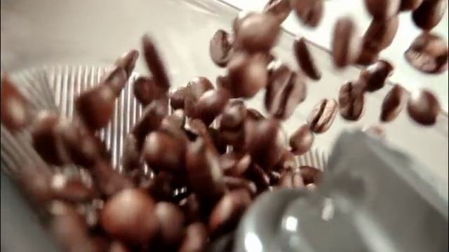 The Oracle смотреть онлайн