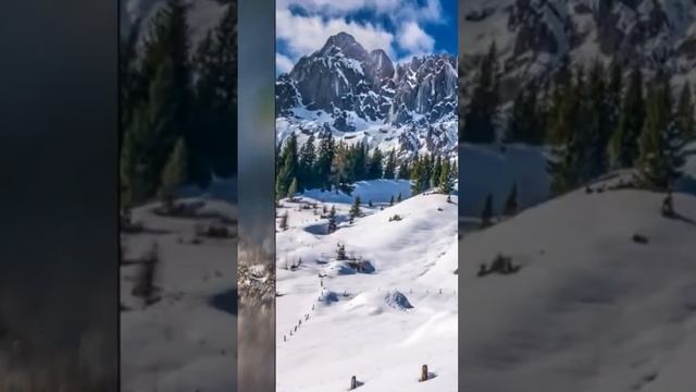 Я мечтала о морях и кораллах - ЮЛИЯ БОГОЛЕПОВА