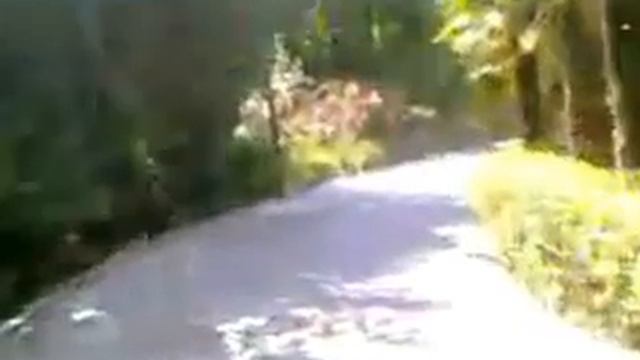 videoplayback195.mp4 смотреть онлайн