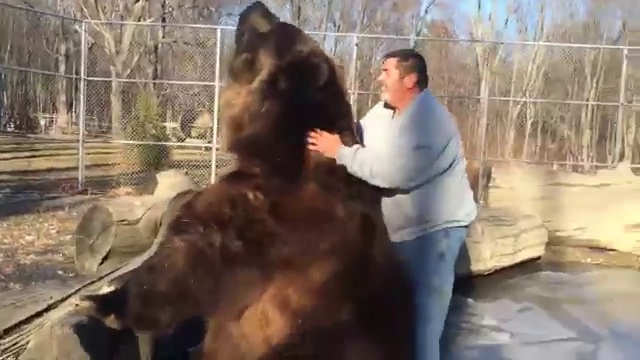 Медведь играет с мужчиной смотреть онлайн