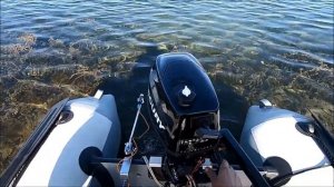 Меркурий 5 (4 такта). Запуск холодного мотора