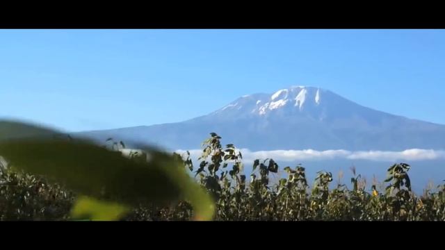 КИЛИМАНДЖАРО – КОРОНА ТАРЗАНИИ // ИНТЕРЕСНЫЕ ФАКТЫ О ГОРЕ КИЛИМАНДЖАРО // Я Короче Узнал смотреть онлайн