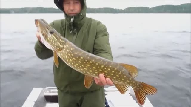 Осенний Джеркфест в Белоруссии 2014 смотреть онлайн