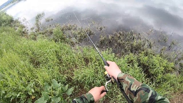 РЫБАЛКА НА СПИННИНГБЕЛЫЙ МЕПС РУЛИТ