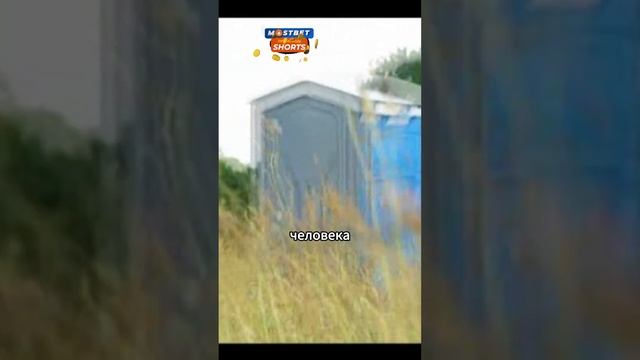 Звук, от которого хочется наложить в штаны #наука #головоломы смотреть онлайн