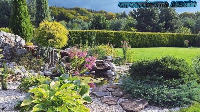 Что бы двор и сад радовал взор нужны идеи смотреть онлайн