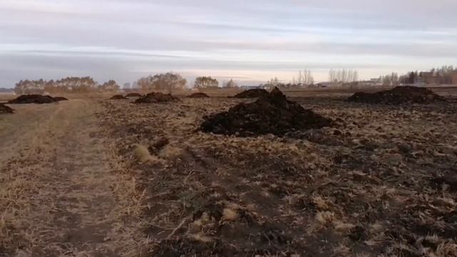 Есть ли польза от навоза. смотреть онлайн