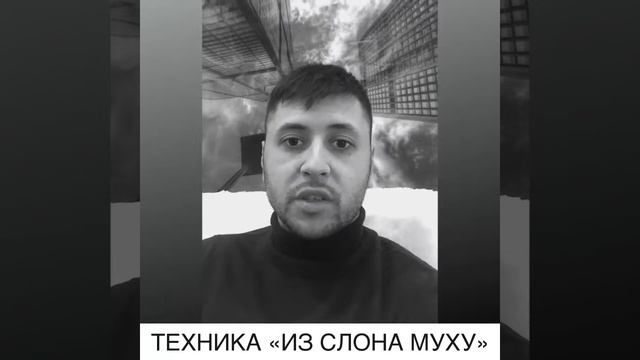 Из Слона муху смотреть онлайн