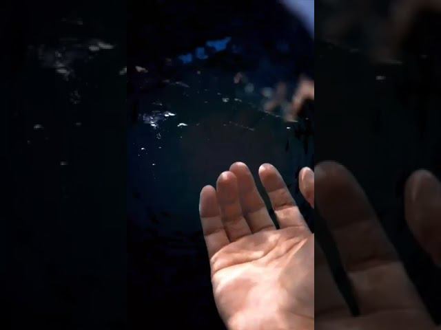 Краска для бассейна своими руками смотреть онлайн