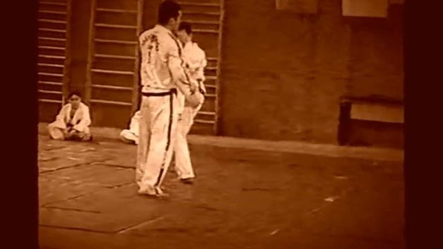 Техника Боя. Тхэквондо ИТФ. Мастер Зо Вон Бон.