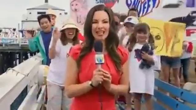 тюлень снаппи смотреть онлайн