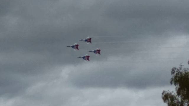 Кострома. 6 октября 2018 г. Стрижи прилетели. смотреть онлайн
