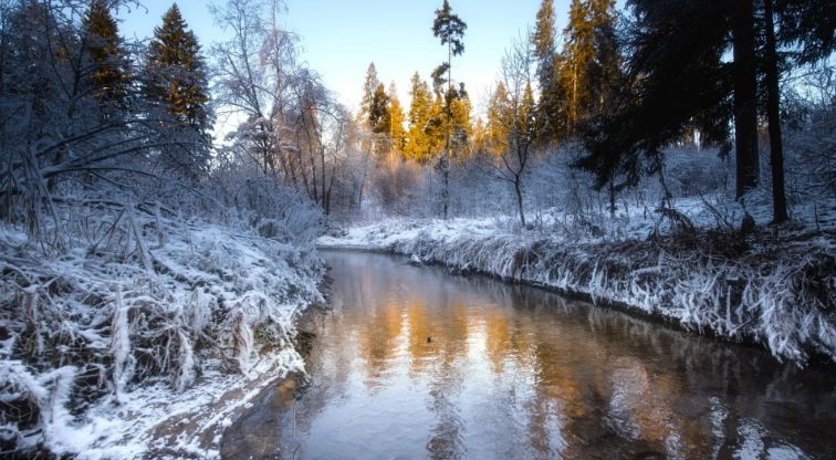 Успокаивающий осенний ручей ✦ Успокаивающие Звуки ✦ Relax Sleep смотреть онлайн