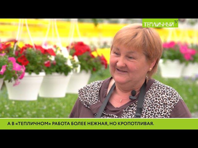 "Тепличный TV". Выпуск 26 смотреть онлайн