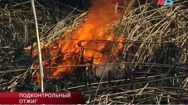 Для предотвращения масштабных пожаров в Волгограде проводят контролируемый пал сухой растительности смотреть онлайн