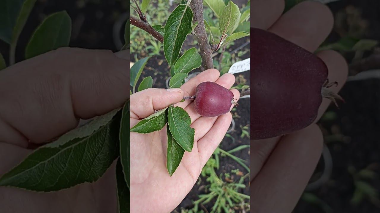 1 июля 2023 г. смотреть онлайн