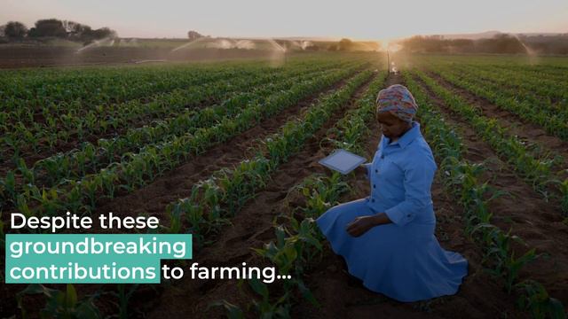 One Earth | Community Supported Agriculture's roots in Black History смотреть онлайн