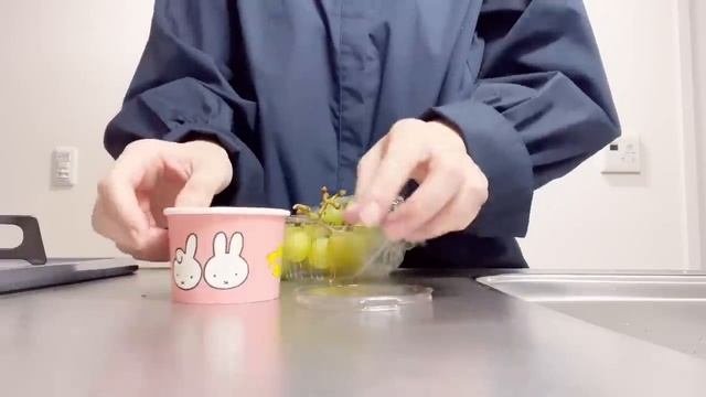 【vlog】アラフォーOL???実家での3days &いつもの日常5days?|新しいメークボックス|ミッフィーガチャ♡ смотреть онлайн